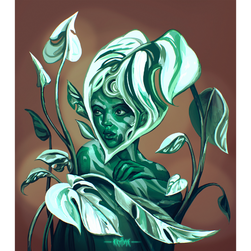 Albo Monstera